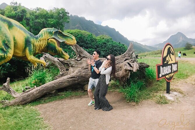 Private One way Transfer Waikiki Hotel and Kualoa Ranch - An In-Depth Look at This Private Transfer Experience