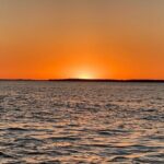 Private ONLY Dolphin Boat Tours - Authentic Experiences and Guest Perspectives