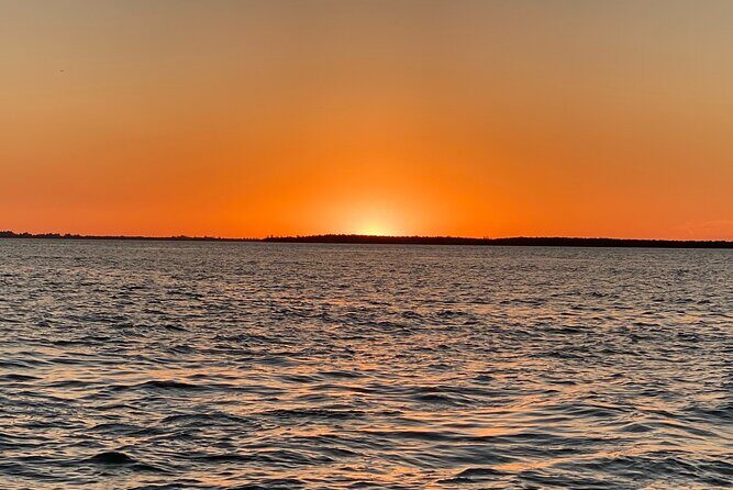 Private ONLY Dolphin Boat Tours - Authentic Experiences and Guest Perspectives