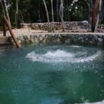 Private or Shared Mayan Temazcal Ritual from Tulum - Itinerary Breakdown: What to Expect at Each Step