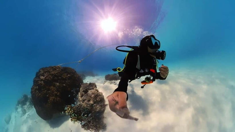 Private Padi Open water diver course - An In-Depth Look at the Private PADI Open Water Diver Course in the Maldives