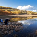 Private Photo Workshop and Sightseeing in Wasatch Mountains - Who Should Consider This Tour?