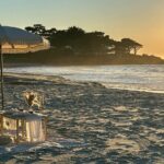 Private Picnic in Carmel-by-the-Sea - The Experience in Detail: What to Expect