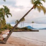 Private Professional Vacation Photoshoot in Honolulu - Who Will Love This Tour?