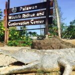 Private Puerto Princesa City Tour - Practical Details and What They Mean for You