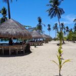 Private Puerto Princesa island tour: Shore excursion - Is This Tour Right for You?