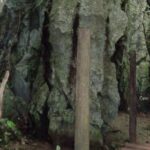 Private Puerto Princesa Underground River, Ugong Cave & zipline - Who Would Love This Tour?