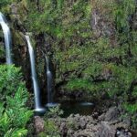 Private Road to Hana Rainforest & Waterfall Experience from Maui - Who Should Consider This Tour?