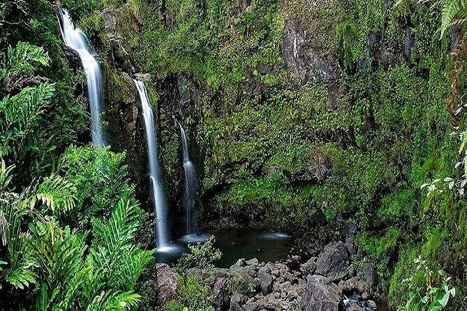 Private Road to Hana Rainforest & Waterfall Experience from Maui - Who Should Consider This Tour?