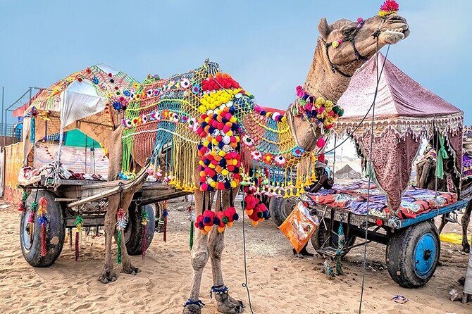 Private Same Day Trip to Pushkar from Jaipur - Concluding Thoughts: Who Will Love This Tour?