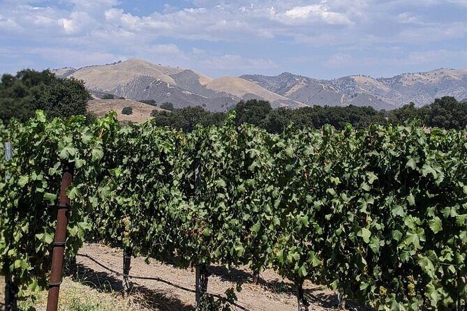 Private Santa Ynez Valley Wine Tasting Tour for up to 4 guests - Who Should Consider This Tour?