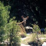 PRIVATE Sedona Jeep Tour Diamondback Gulch Extreme Off-Road - The Sum Up