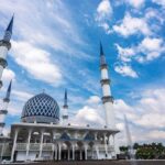 Private Selangor Day Tour : Batu Caves, Blue Mosque, Fruit Valley, Malawati Hill - Who Should Book This Tour?