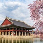 Private Seoul City Tour - Why This Tour Offers Excellent Value