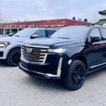 Private Seward Cruise Transit Tour with National Park and AWCC - What the Tour Includes and Excludes