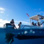Private Shark Dive, Oahu, Hawaii (6 Guest) - Who Should Consider This Tour?