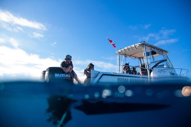 Private Shark Dive, Oahu, Hawaii (6 Guest) - Who Should Consider This Tour?