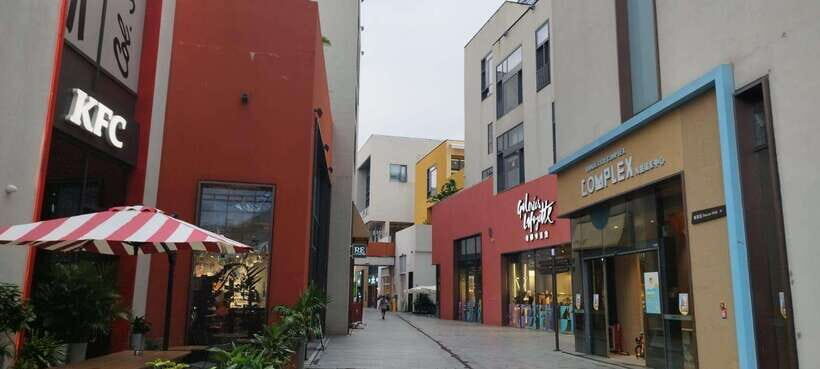 Private Shenzhen Day Tour from Hong Kong - What to Expect from the Transportation and Logistics