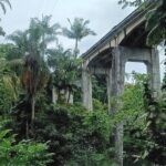 Private Shore Excursion Hilo Land of Frozen Fire up to 14 - The Itinerary in Detail