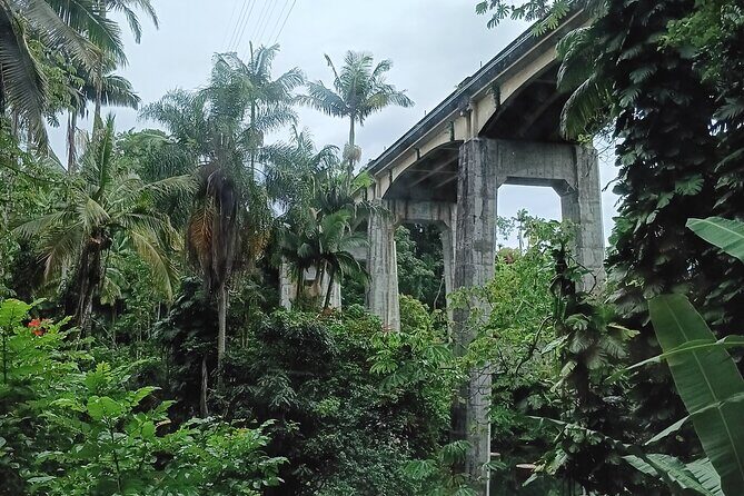 Private Shore Excursion Hilo Land of Frozen Fire up to 14 - The Itinerary in Detail