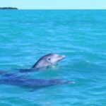 Private Sian Kaan Biosphere Tour - Transportation, Timing, and Group Size