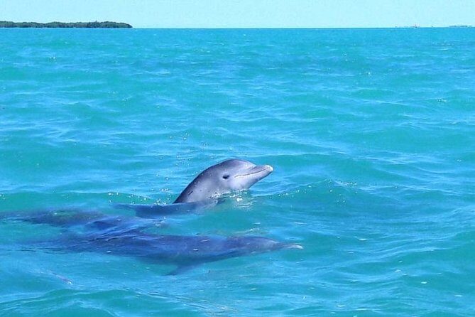 Private Sian Kaan Biosphere Tour - Transportation, Timing, and Group Size