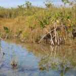 Private Sian Kaan Muyil Lazy River Tour - Exploring the Riviera Maya’s Hidden Gems