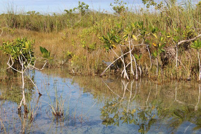 Private Sian Kaan Muyil Lazy River Tour - Exploring the Riviera Maya’s Hidden Gems