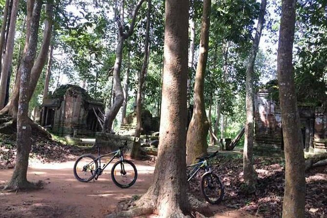 Private Siem Reap Countryside Cycling Tour - Who Should Consider This Tour?