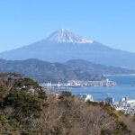 Private sightseeing tour from Shimizu Port / Van Taxi - Real Experiences from Travelers