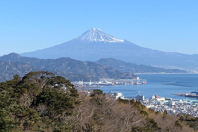 Private sightseeing tour from Shimizu Port / Van Taxi - Real Experiences from Travelers