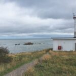 Private Sightseeing Tour In Saint John - Who Is This Tour Best For?