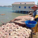 Private Sihanoukville Experience - Transportation and Comfort