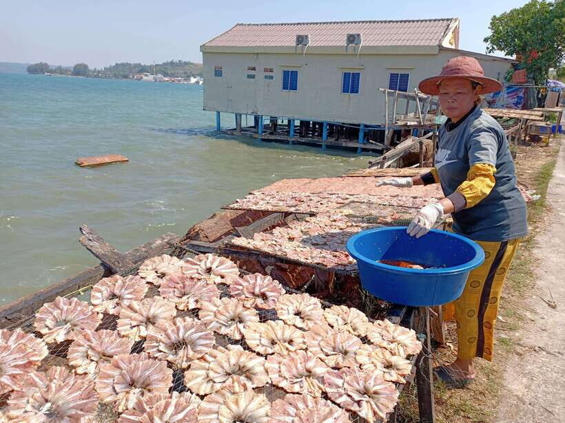 Private Sihanoukville Experience - Transportation and Comfort