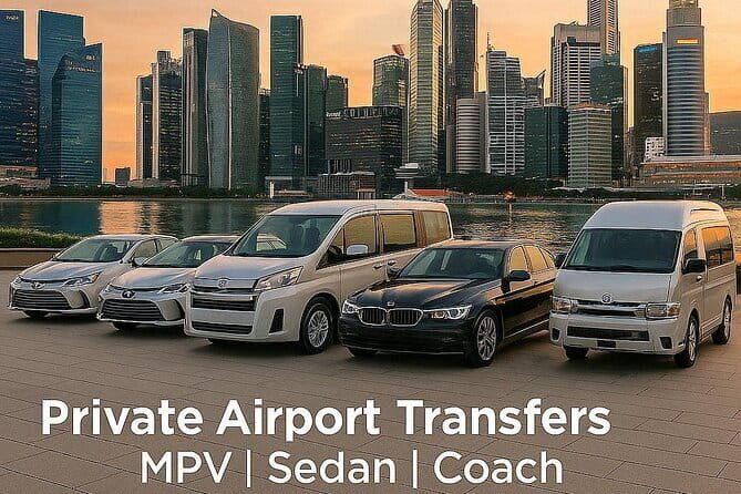 Private Singapore Arrival Transfer: Airport or Cruise Terminal to City - The Itinerary: What to Expect on Your Ride