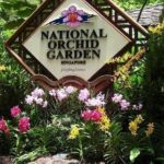 Private Singapore Full Day Round Island Tour with River Cruise - Final Thoughts