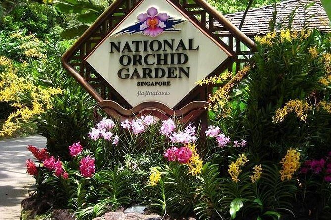 Private Singapore Full Day Round Island Tour with River Cruise - Final Thoughts