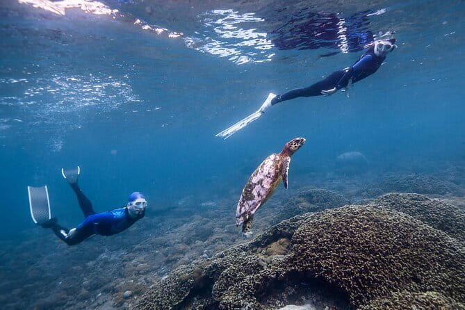 Private Snorkeling and Freediving Trip to Manta Point - The Sum Up