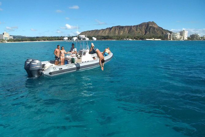 Private Snorkeling and Wildlife on The Adventure Boat - The Sum Up