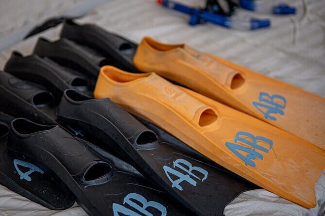 Private Snorkeling Gili Island Including GoPro Camera - The Overall Experience: What Makes It Stand Out?