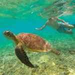 Private Snorkeling in 3 GiIi Islands - Balancing Value and Experience