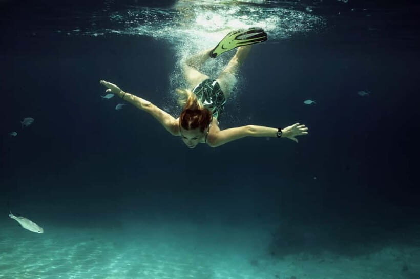 Private Snorkeling with Turtles in the Maldives - What to Expect from Your Maldives Snorkeling Adventure