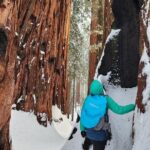 Private Snowshoe Adventure - Sequoia National Park - Final Thoughts: Is It Worth It?