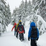 Private Snowshoeing Adventure from Badger Pass to Dewey Point - In-Depth Look at the Yosemite Snowshoeing Tour