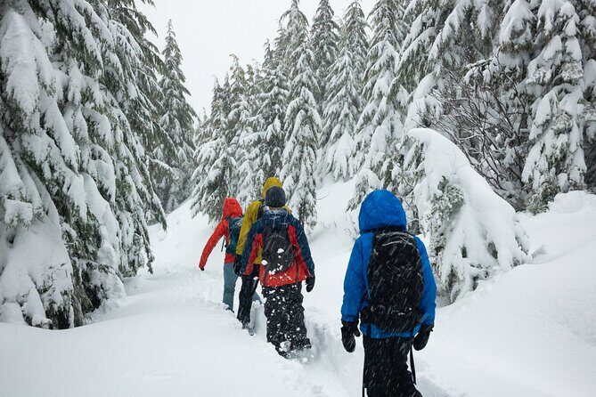 Private Snowshoeing Adventure from Badger Pass to Dewey Point - In-Depth Look at the Yosemite Snowshoeing Tour