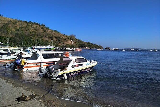 Private Speedboat transfer Between Lombok and Gili Islands - Final Thoughts: Is It Right for You?