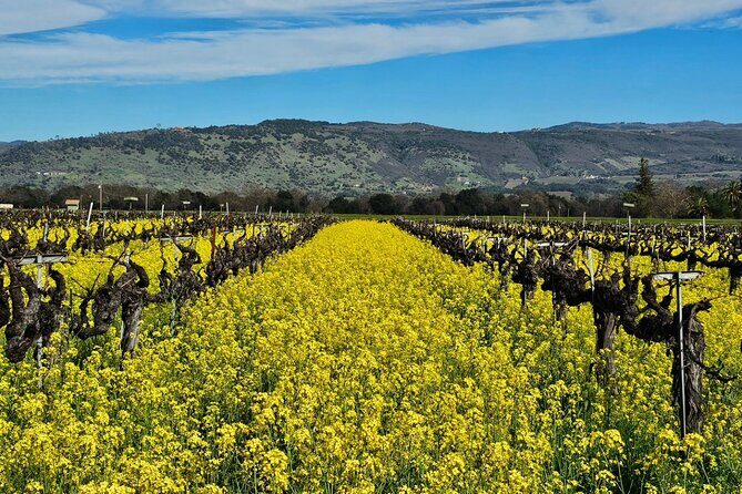 Private Sprinter Tour of Napa Valley - Final Thoughts