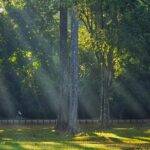 Private Sunrise and Sunset Angkor Park Tour with Rest Mid-Day - The Rest of the Day: Bayon, Angkor Thom, and Sunset