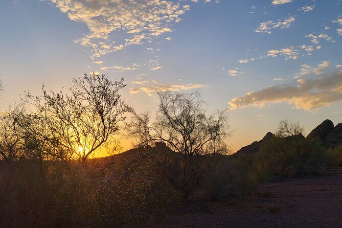 Private Sunset Walking Tour -Sonoran Desert Botanical Gardens 2h - The Sum Up