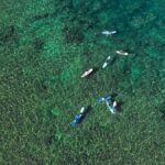 Private Surf Lesson for 3-5 People in North Shore Oahu - Why This Tour Offers Good Value